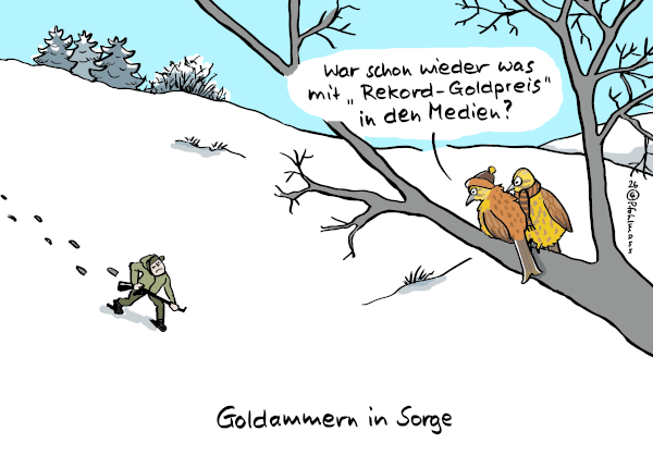 260130GoldammernSorgeH