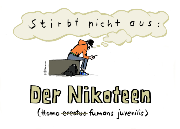 260526BNikoTeenH